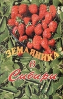 Земляника в Сибири артикул 5953b.