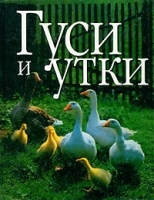 Гуси и утки артикул 5969b.